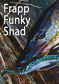 Обзор: Обзор Frapp Funky Shad. Готовим «сани» летом