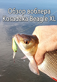 Обзор: Обзор воблера Kosadaka Beagle XL.