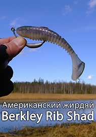 Обзор: Berkley Powerbait Rib Shad. Американский жирдяй для русской щуки