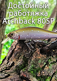 Обзор: Обзор достойного работяжки Archback 80 SP от компании Strike Pro