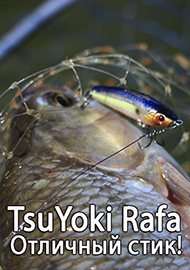 Обзор: TsuYoki Rafa. Отличный стик!