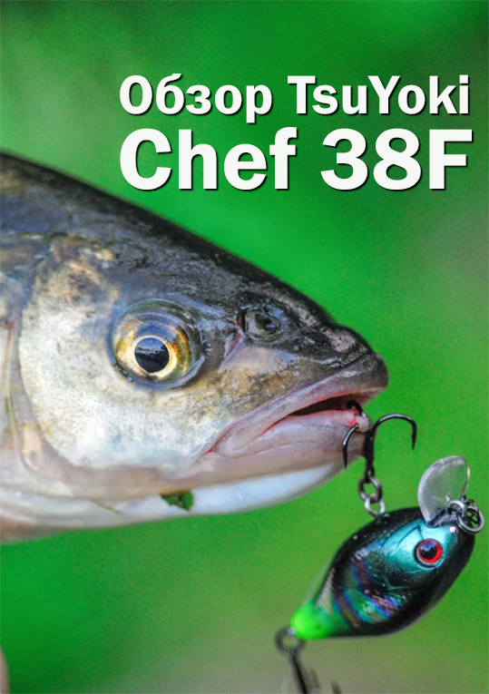 Рыбное блюдо от Шефа! Обзор TsuYoki Chef 38F