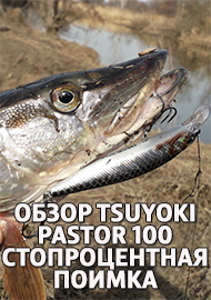 Обзор TsuYoki Pastor 100. Стопроцентная поимка.