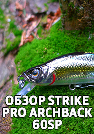 Обзор: Обзор Strike Pro Archback 60SP. Компактный универсал