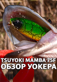 Обзор: TsuYoki Mamba 75F - обзор уокера