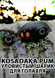 Обзор: Обзор Kosadaka Pum XS 30F. Уловистый шарик для голавля и его соседей