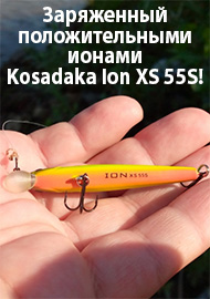 Обзор: Заряженный положительными ионами Kosadaka Ion XS 55S! Обзор