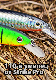 110-й умелец от Strike Pro. Обзор на воблер Strike Pro Bold 110 SP.