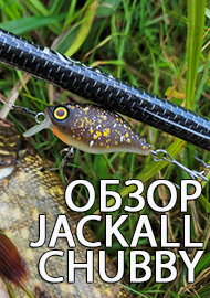 Обзор: Обзор Jackall Chubby 38 SR