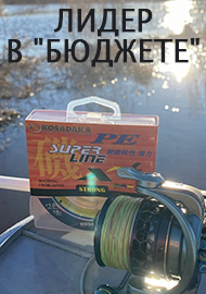 Обзор: Лидер в