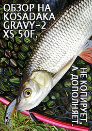 Обзор: Обзор на Kosadaka Gravy-2 XS 50F. Не копирует, а дополняет.