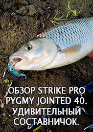 Обзор: Обзор Strike Pro Pygmy Jointed 40. Удивительный составничок.