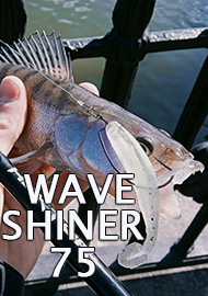 Обзор: Обзор на колеблющуюся блесну Norstream Area Morgan