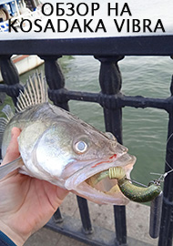 Обзор: Обзор на Kosadaka vibra