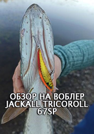 Обзор: Обзор на воблер Jackall Tricoroll 67SP.