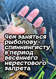 Статьи: Чем заняться рыболову-спиннингисту в период весеннего нерестового запрета.