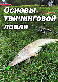 Статьи: Основы твичинговой ловли. Выбор уловистых воблеров для результативной рыбалки.