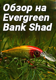 Обзор на воблер Evergreen Bank Shad