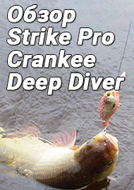 Обзор воблера Strike Pro Crankee Deep Diver 55.