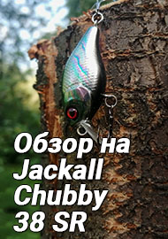 Обзор: Обзор на Jackall Chubby 38 SR. Нестареющая классика голавлиных крэнков.
