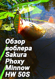 Обзор: Обзор воблера Sakura Phoxy Minnow HW 50S. Из Франции с любовью