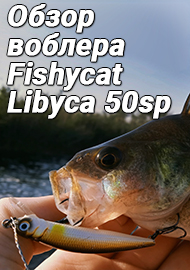 Обзор: Обзор воблера Fishycat Libyca 50sp