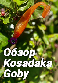Обзор: Обзор силиконовой приманки Kosadaka Goby. Стабильность- признак мастерства.