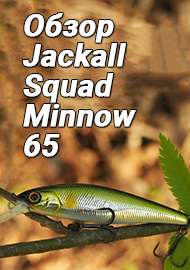 Обзор: Обзор воблера Jackall Squad Minnow 65 - маленький универсал