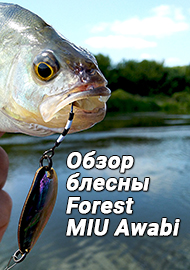 Обзор: Перламутр в рыболовном кошельке. Обзор блесны Forest MIU Awabi