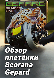 Обзор: Обзор сверх дешёвой плетёнки Scorana Gepard 150м