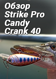 Обзор: Конфетка для хищника. Обзор воблера Strike Pro Candy Crank 40.