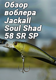 Обзор воблера Jackall Soul Shad 58 SR SP