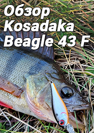 Обзор Kosadaka Beagle XS/XL 43 F. Дело за малым!