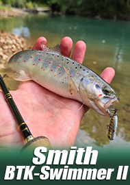 Обзор Smith BTK-Swimmer II – уловистый «цилиндрик» для пятнистой рыбы