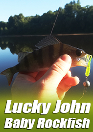 Обзор силиконовой приманки Baby Rockfish от Lucky John