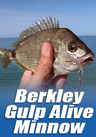 Лакомство для морской рыбы – обзор слага Berkley Gulp Alive Minnow