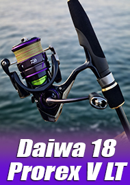 Обзор Daiwa 18’Prorex V LT 2500-XH – качество и красота за адекватную цену