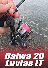 Обзор Daiwa 20 Luvias FC LT 2000S: это топчик!