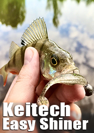 А нужен ли Keitech? Обзор Keitech Easy Shiner.