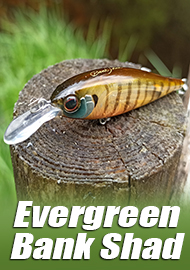 Обзор Evergreen Bank Shad: безотказный универсал