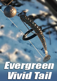 Обзор Evergreen Vivid Tail. Яркий хвост для судака