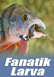Обзор Fanatik Larva: козырная личинка от Fanatik.
