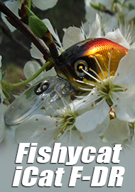 Фавориты. Всем крэнкам - Ферзь. Fishycat iCat F-DR.