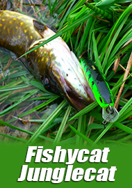 Обзор Fishycat Junglecat 140. Если цель - щука