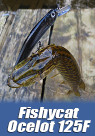 Обзор Fishycat Ocelot 125F. Мелководный крупновоблер