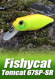Обзор: Обзор воблера Fishycat Tomcat 67SP-SR: достойный собрат известных воблеров.