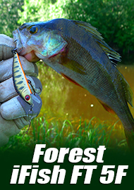 Обзор воблера Forest iFish FT 5F: обыкновенный японец.
