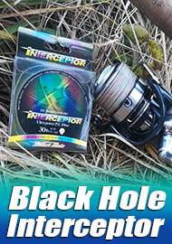 Обзор плетенки Black Hole Interceptor - недооцененный "перехватчик"
