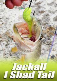 Обзор Jackall I Shad Tail – продолжение тематики с приставкой «i»