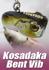 Обзор: Обзор Kosadaka Bent Vib 50S: суровый взгляд на хищника.